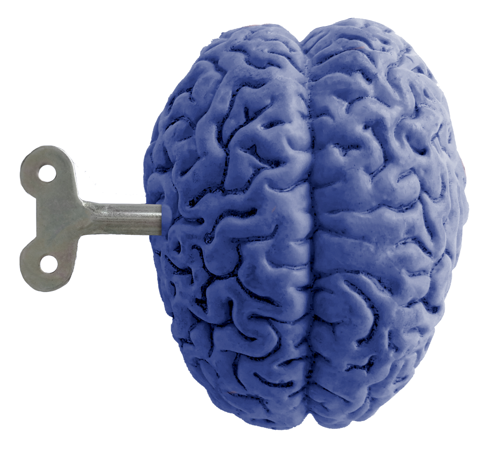 Brain
