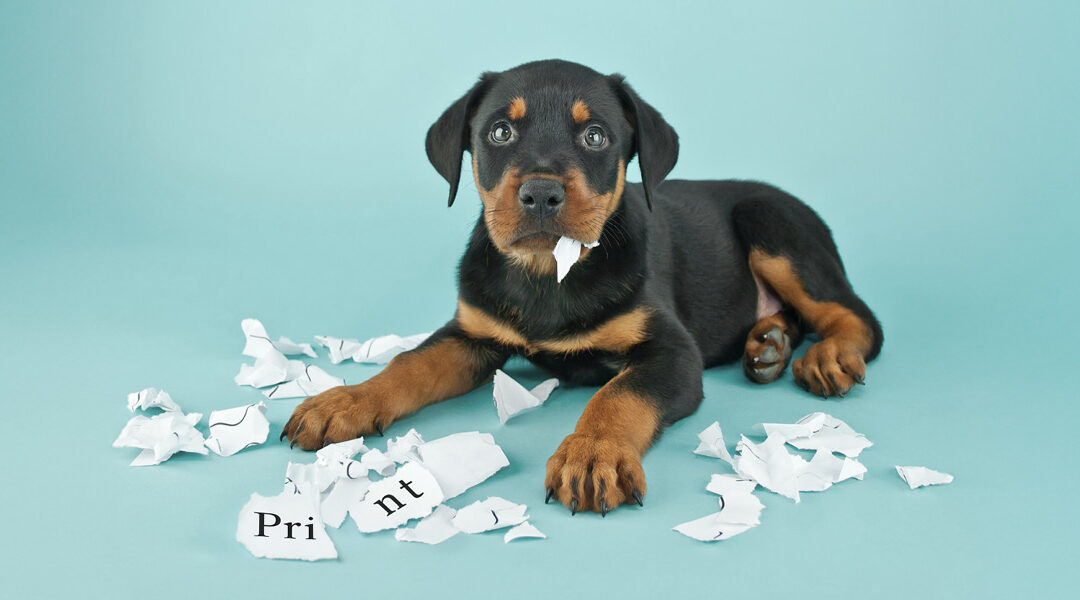 Is Print Dead?