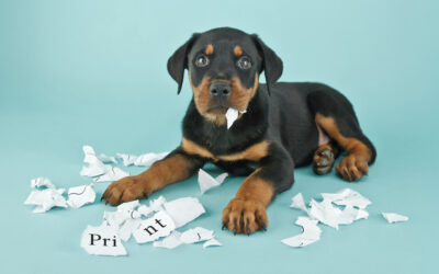 Is Print Dead?