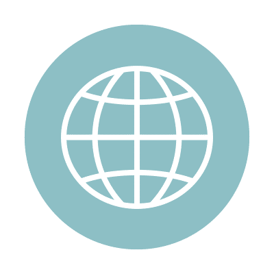 A white globe icon with horizontal and vertical lines is centered on a light blue circular background.