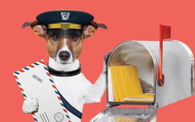 7 Steps For Writing Emails Your Audience Will Actually Read
