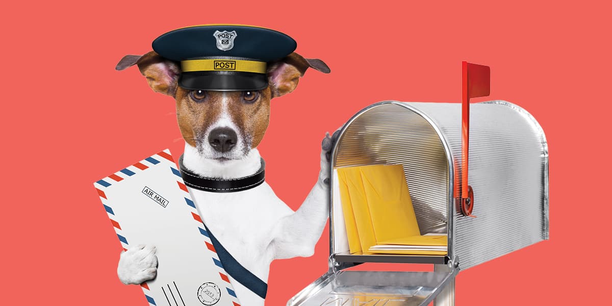 A dog wearing a police hat holds an envelope and stands next to an open mailbox filled with yellow envelopes, all set against a solid red background.