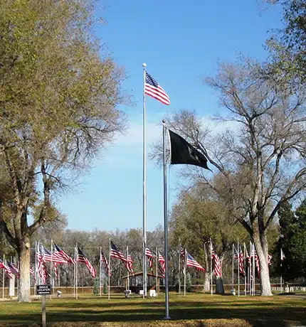 A park with many American flags and a black POW/MIA flag on flagpoles, surrounded by leafless trees under a blue sky.